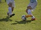 Calcio. Ufficializzati gli obblighi under per la stagione 2022/2023 nei campionati dilettantistici liguri