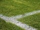 Calcio. La Uefa vuole far chiarezza sull'uso dei prodotti chimici sui campi da gioco, coinvolti anche i dilettanti