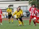 Calcio. Vincenzi - Baia Alassio: sette giorni per disegnare il futuro Calcio. Vincenzi - Baia Alassio: sette giorni per disegnare il futuro