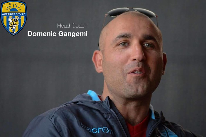 Calcio. Domenico Gangemi è il nuovo allenatore del Werribee F.C.