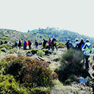 Escursioni, conferenze e molto altro a Loano