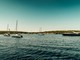 L'Asinara come non l'avete mai vista: Escursioni in catamarano con Buriana Charter L'Asinara come non l'avete mai vista: Escursioni in catamarano con Buriana Charter