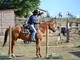 Equitazione, a Dego eletti i campioni provinciali di Gimkana Trail