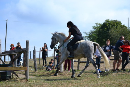 foto di repertorio foto di repertorio