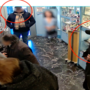 Furti in gioielleria e ferramenta, banda sgominata dai Carabinieri: quattro denunciati Furti in gioielleria e ferramenta, banda sgominata dai Carabinieri: quattro denunciati