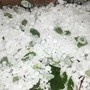 Temporali in arrivo sulla Liguria, scatta l’attenzione per grandine oltre i 2 cm e forti raffiche di vento Temporali in arrivo sulla Liguria, scatta l’attenzione per grandine oltre i 2 cm e forti raffiche di vento