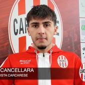 Calcio | Carcarese. Cancellara all'attacco: "Siamo una grande squadra, per la fascia alta della classifica ci siamo anche noi" (VIDEO) Calcio | Carcarese. Cancellara all'attacco: "Siamo una grande squadra, per la fascia alta della classifica ci siamo anche noi" (VIDEO)