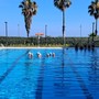 Savona, piscina Zanelli: gestione alla Rari Nantes prorogata ancora di un mese in attesa dell'esito del nuovo bando Savona, piscina Zanelli: gestione alla Rari Nantes prorogata ancora di un mese in attesa dell'esito del nuovo bando