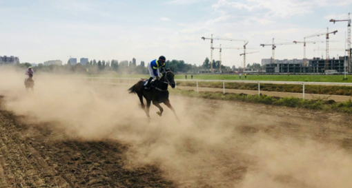 Scommesse sportive in Italia: un panorama complesso e sorprendente Scommesse sportive in Italia: un panorama complesso e sorprendente