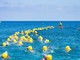 Nuoto. I'm Ponente torna in acqua, tra Spotorno e Bergeggi, il prossimo 8 giugno Nuoto. I'm Ponente torna in acqua, tra Spotorno e Bergeggi, il prossimo 8 giugno