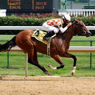 Scommesse ippiche: consigli per sfruttare al meglio le corse dei cavalli