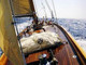 Partenza per Capo Verde imbarcazione &quot;La Salina&quot; sulla rotta di Anton Da Noli