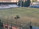 Imperia-Celle Varazze, rebus stadio per il preliminare di Coppa: primo nodo per il neopresidente Ramoino Imperia-Celle Varazze, rebus stadio per il preliminare di Coppa: primo nodo per il neopresidente Ramoino