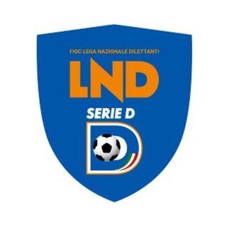 Giudice Sportivo, Serie D Girone A. I provvedimenti dopo la quartultima giornata