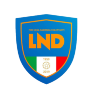 Calcio dilettantistico. Dimezzati i tempi per la radiazione, l'esclusione del campionato avverrà già alla seconda rinuncia