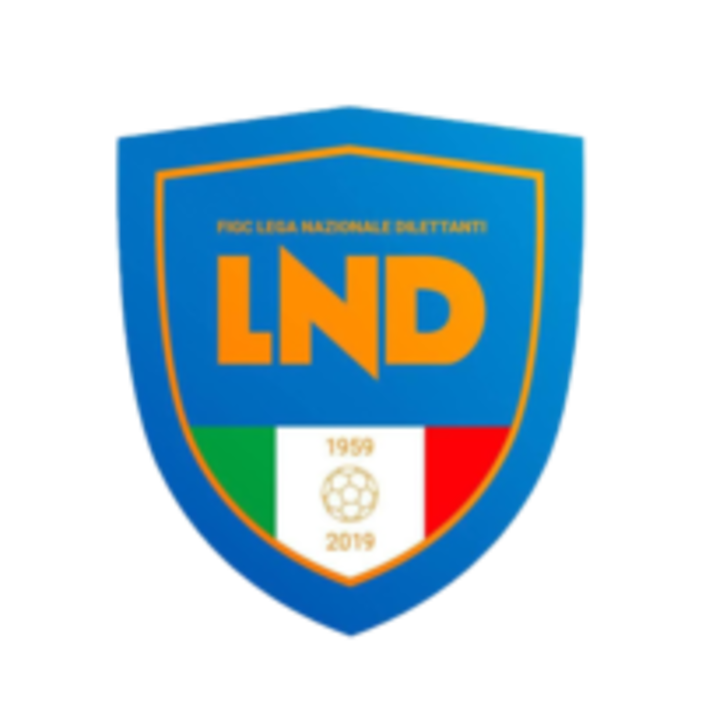 Calcio, Coppa Italia di Eccellenza: ecco i quattro gironi e il regolamento del torneo Calcio, Coppa Italia di Eccellenza: ecco i quattro gironi e il regolamento del torneo