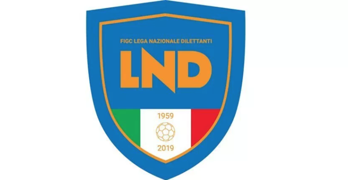 Calcio. Rivoluzione Emilia Romagna, abolita ogni quota under in Eccellenza e Promozione Calcio. Rivoluzione Emilia Romagna, abolita ogni quota under in Eccellenza e Promozione