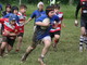 Rugby Ligure: al torneo di minirugby di Masone vince l'amicizia! Rugby Ligure: al torneo di minirugby di Masone vince l'amicizia!
