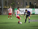 Calcio, Coppa Liguria di Seconda Categoria. Respinto il ricorso della Nolese, la coppa resta all'Andrea D'Oria Calcio, Coppa Liguria di Seconda Categoria. Respinto il ricorso della Nolese, la coppa resta all'Andrea D'Oria