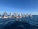 Campionato Mondiale Optimist, Imperia candidata ad ospitare l'evento clou della vela giovanile Campionato Mondiale Optimist, Imperia candidata ad ospitare l'evento clou della vela giovanile