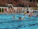Pallanuoto UISP, Sori interrompe la corsa del Loa Waterpolo: cinghiali ko 10-14 Pallanuoto UISP, Sori interrompe la corsa del Loa Waterpolo: cinghiali ko 10-14