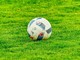 Il Frosinone può Vincere la Serie B 2022 -2023?