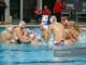 Pallanuoto. Semifinali Playoff, la Rari Nantes Savona ospita la Pro Recco e va a caccia del riscatto Pallanuoto. Semifinali Playoff, la Rari Nantes Savona ospita la Pro Recco e va a caccia del riscatto