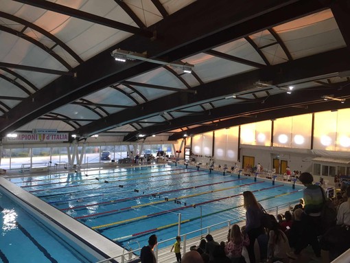 Pallanuoto | Sta per nascere la partnership tra Rari Nantes Savona e Rari Nantes Imperia Pallanuoto | Sta per nascere la partnership tra Rari Nantes Savona e Rari Nantes Imperia
