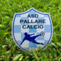 Calcio | Il Pallare cambia subito, Marian Stefan non è più l'allenatore biancoblu Calcio | Il Pallare cambia subito, Marian Stefan non è più l'allenatore biancoblu