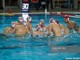 Pallanuoto, ruggito della Rari: Brescia ko 10-6, biancorossi in finale di Coppa Italia Pallanuoto, ruggito della Rari: Brescia ko 10-6, biancorossi in finale di Coppa Italia