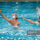 Pallanuoto. R.N. Savona, Damonte sfida il suo passato: "Il Ferencvaros è uno squadrone, ma dovranno faticare" Pallanuoto. R.N. Savona, Damonte sfida il suo passato: "Il Ferencvaros è uno squadrone, ma dovranno faticare"