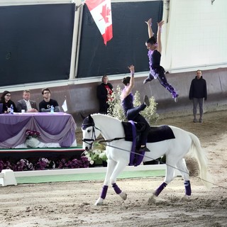 Volteggio equestre. La Pasqua delle Perle Nere di GiuEle si tinge di bronzo e di argento