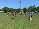 Le Pirates stringono i denti e tornano dal bowl di Varese con due vittorie