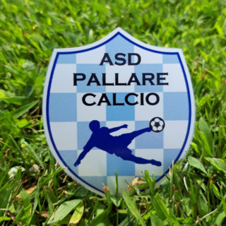 Calcio. Svolta Pallare, in panchina arriva Mirko Ottone