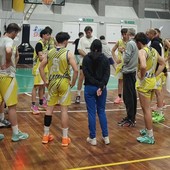 Pallacanestro Alassio | Gialloblu a pieno regime con undici incontri, dalla Prima Squadra fino al Minibasket