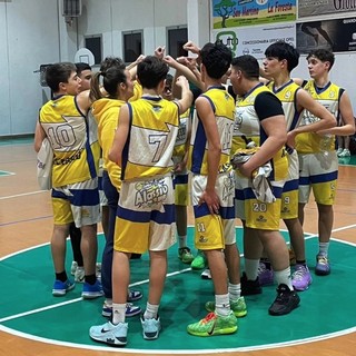 Basket | Pallacanestro Alassio, ben dodici appuntamenti in una settimana molto positiva