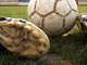 Calcio, Juniores d'Eccellenza: i risultati della tredicesima giornata