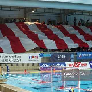 Pallanuoto. Champions League, la R.N. Savona ospita l'Oradea: alle 20 appuntamento alla "Zanelli"