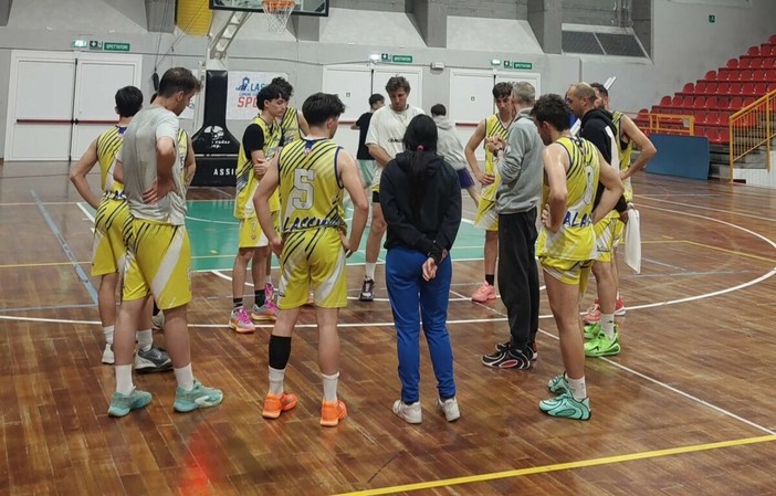 Pallacanestro Alassio | Gialloblu a pieno regime con undici incontri, dalla Prima Squadra fino al Minibasket
