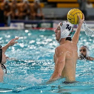 Pallanuoto | Nuovo annuncio di mercato, tesserato il difensore Giobatta Valle