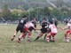 Savona Rugby: domani si apre il campionato a Sant'olcese con l'Amatori