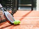 Scopri i diversi tipi di racchette da tennis per migliorare il tuo gioco