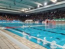 Allerta arancione: mercoledì 20 agosto chiusura per la piscina "Zanelli" di Savona e per la piscina comunale di Luceto Allerta arancione: mercoledì 20 agosto chiusura per la piscina "Zanelli" di Savona e per la piscina comunale di Luceto