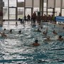 Pallanuoto. La Rari risponde presente anche con il Telimar Palermo: alla "Zanelli" successo biancorosso 18-13 Pallanuoto. La Rari risponde presente anche con il Telimar Palermo: alla "Zanelli" successo biancorosso 18-13