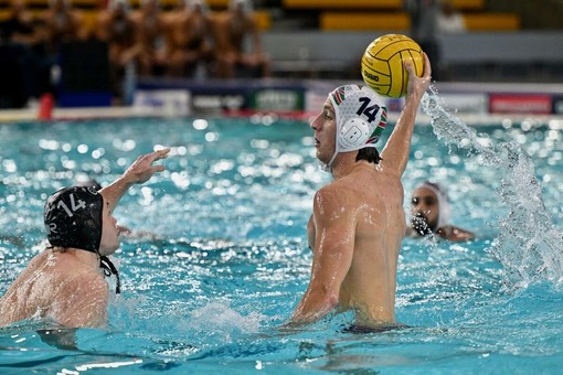 Pallanuoto | Nuovo annuncio di mercato, tesserato il difensore Giobatta Valle Pallanuoto | Nuovo annuncio di mercato, tesserato il difensore Giobatta Valle