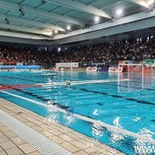 Rari Nantes Savona. Prima notte di Coppa alla Zanelli, alle 19:00 sarà sfida al Sabac Elixir Rari Nantes Savona. Prima notte di Coppa alla Zanelli, alle 19:00 sarà sfida al Sabac Elixir