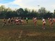 Ultimo incontro, Rugby Savona superata in trasferta dal Cus Pavia per 31 a 7