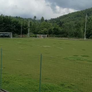 Calcio, Pallare. Al "Ravera" spuntano le margherite. Prestipino: "Impossibilitati a compiere la manutenzione, ognuno deve assumersi le proprie responsabilità"