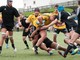Rugby: grande attenzione nel prossimo fine settimana sul comparto giovanile
