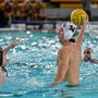 Pallanuoto | Nuovo annuncio di mercato, tesserato il difensore Giobatta Valle Pallanuoto | Nuovo annuncio di mercato, tesserato il difensore Giobatta Valle